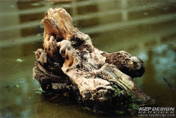 Lifestyle: Photo 18 (SanBarb-Logger.jpg, 600 x 402, 80.4K) 