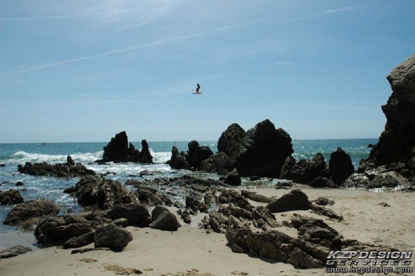 Tropical: Photo 1 (DSC_0051.jpg, 600 x 399, 101.3K) 