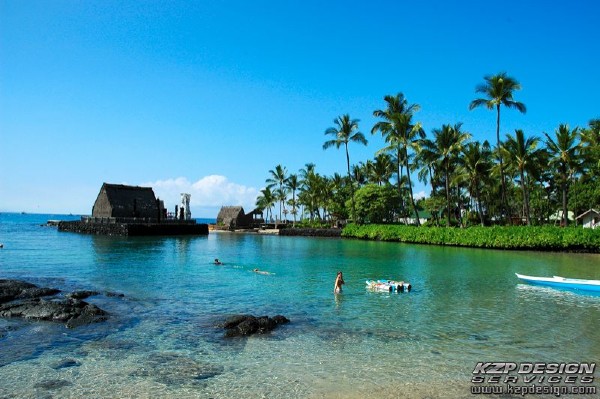 Tropical: Photo 9 (DSC_1565.jpg, 600 x 399, 86.2K) 