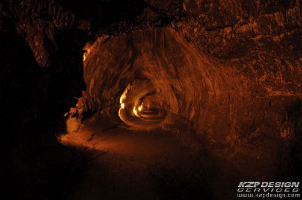 Tropical: Photo 12 (DSC_1670.jpg, 600 x 399, 87.0K) 